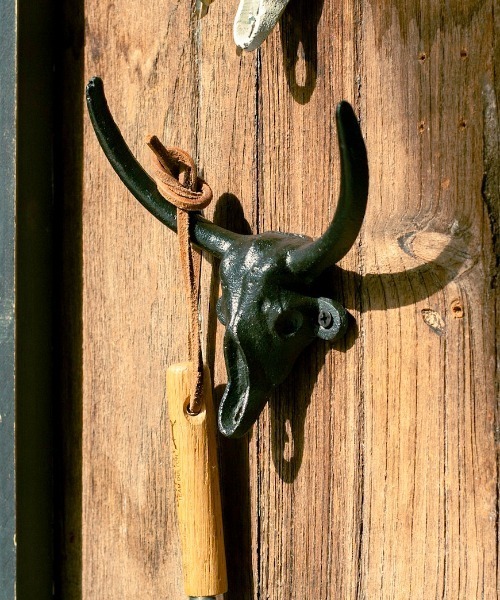 DULTON（ダルトン） 収納 BULL SKULL HOOK/壁付け フック : ZOZOTOWN