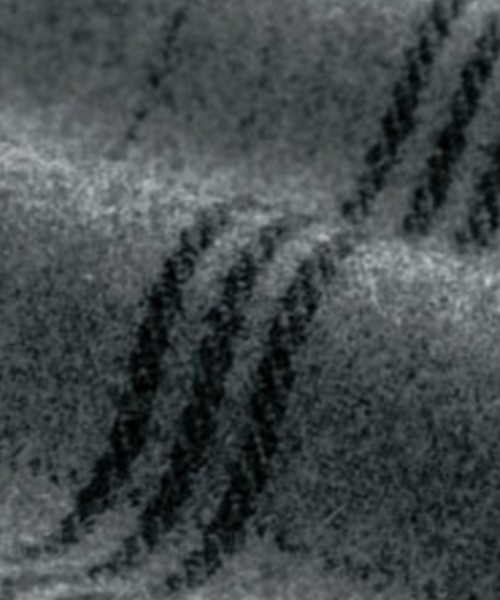 「RANAN」 サロペットスカート LL グレー系その他 レディース_画像7