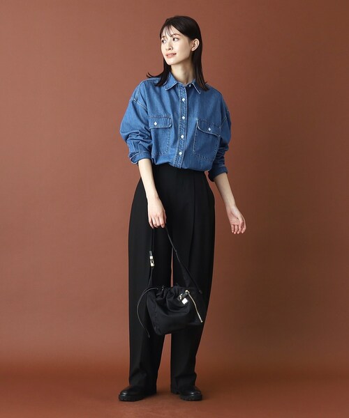 ドレステリア　長袖シャツ DRESSTERIOR ドレステリア - レディース 長袖シャツ