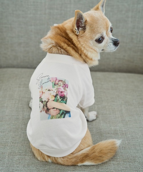 ROPE' PICNIC（ロペ ピクニック） 犬 服 「DOG」RENU photo Tee/UV