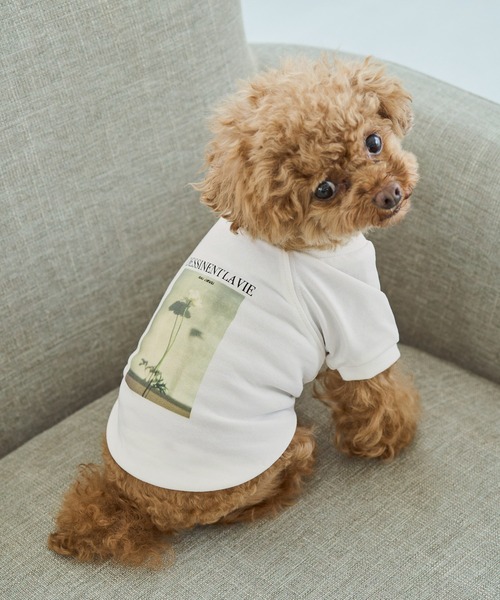ROPE' PICNIC（ロペ ピクニック） 犬 服 「DOG」RENU photo Tee/UV