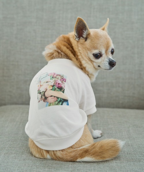 ROPE' PICNIC（ロペ ピクニック） 犬 服 「DOG」RENU photo Tee/UV