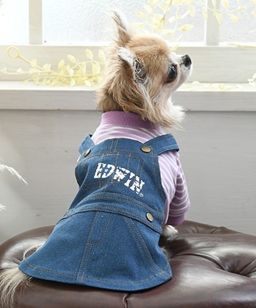 EDWIN（エドウィン） 犬 服 EDWIN/オーバーオールデニムワンピ