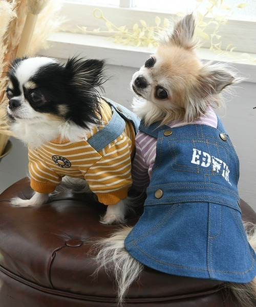 EDWIN（エドウィン） 犬 服 EDWIN/オーバーオールデニムワンピ