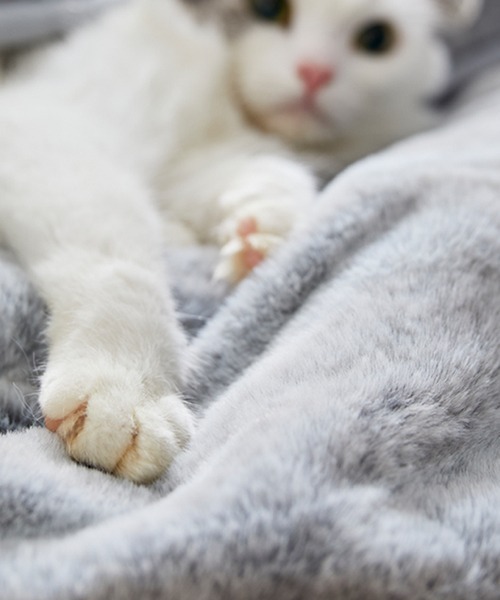 ブランケット まるで猫！のようなモフモフ2枚合わせ中わた入り毛布
