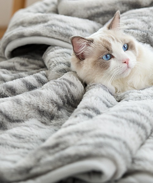 ブランケット まるで猫！のようなモフモフ2枚合わせ中わた入り毛布