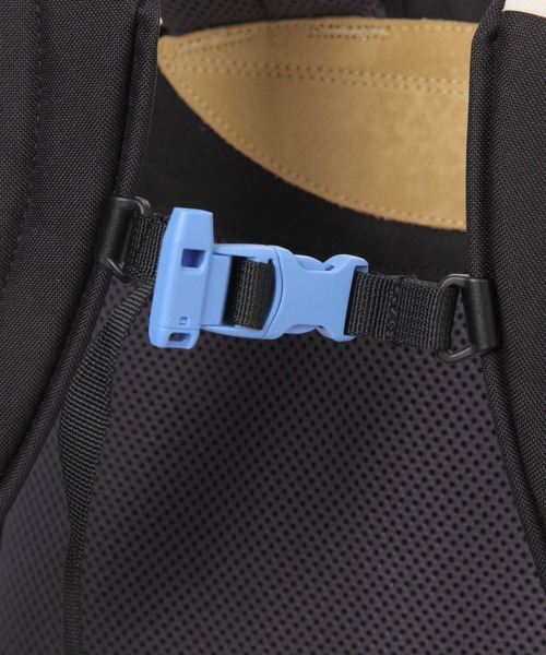 THE NORTH FACE（ザ ノースフェイス） ノースフェイス リュック 「THE