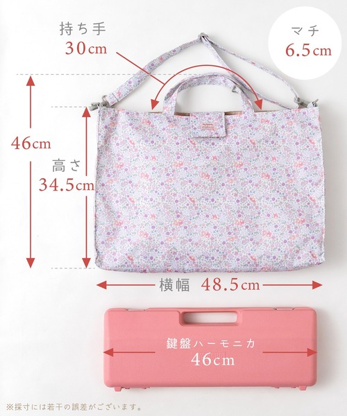 panpantutu（パンパンチュチュ） レッスンバッグ 「マイメロディ