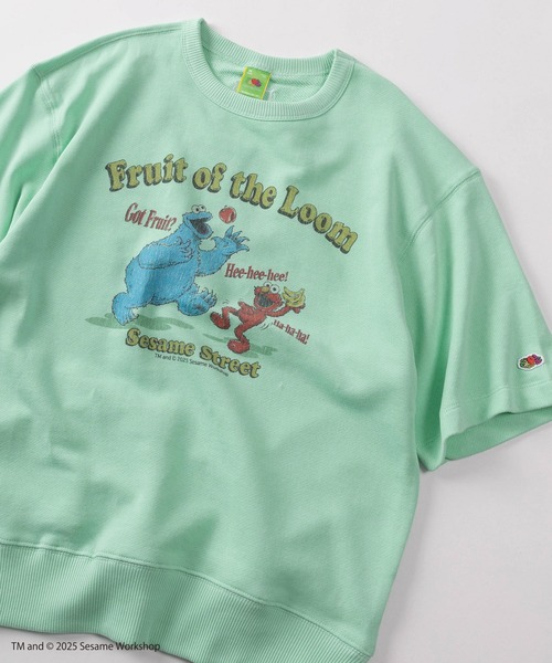 FRUIT OF THE LOOM（フルーツオブザルーム） tシャツ 「73」「Fruit of