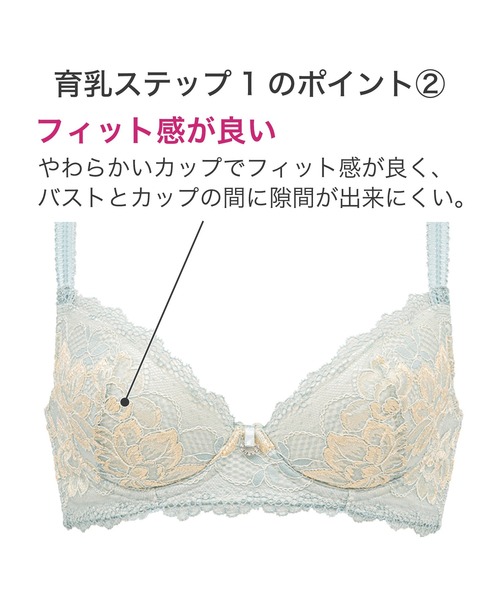 BRADELIS NewYork ブラジャー ウェンディステップ1ブラ23S3