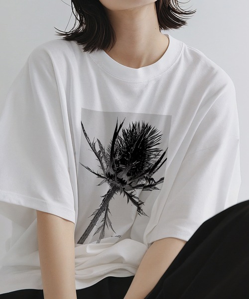 tシャツ urday / Eryngium / フォトTシャツ レディース メンズ MAMIAN tシャツ urday / Eryngium フォトTシャツ レディース