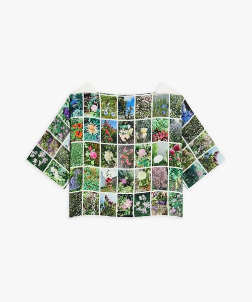 tシャツ フォトプリント スクエアネック 5分袖 トップス ”Instagram fleurs” レディース