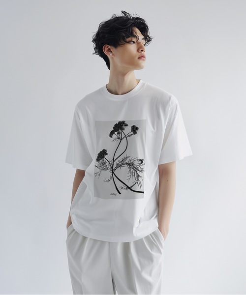 tシャツ urday / Orlayagrandiflora / フォトTシャツ レディース メンズ