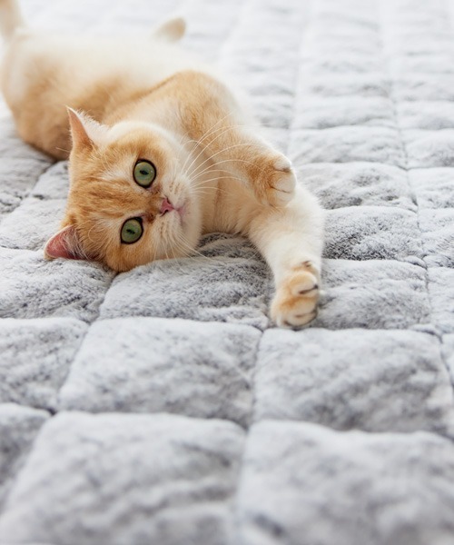 ラグ ラグマット まるで猫！のような洗えるモフモフキルトラグ｜130