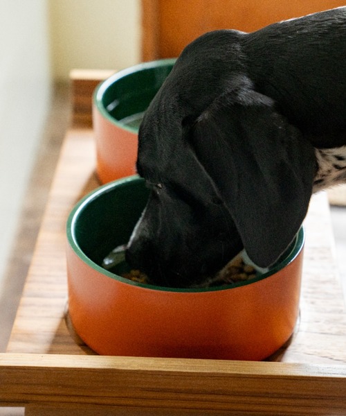 【原価ぶっ壊し割引】ダブルドッグボウル DULTON DOUBLE WALL DOG BOWL S/ドッグ ボウル : ZOZOTOWN Yahoo