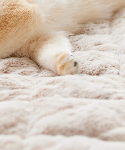 ラグ ラグマット まるで猫！のような洗えるモフモフキルトラグ｜185