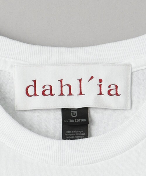 tシャツ 「dahl'ia」ストライプスリーブ トップス レディース dahl'ia tシャツ 「dahl'ia」ストライプスリーブ トップス