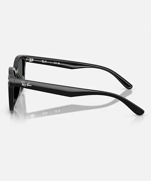 Ray-Ban（レイバン） サングラス サングラス 紫外線対策 0RB4461D 601