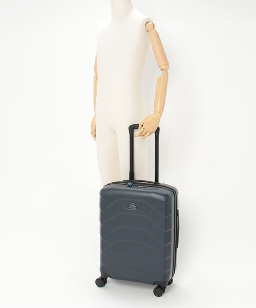 GREGORY（グレゴリー） スーツケース キャッシュキャリーオンスピナー