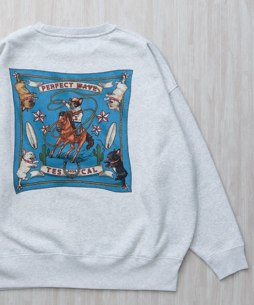 The Endless Summer（エンドレスサマー） トレーナー スウェット 「WEB