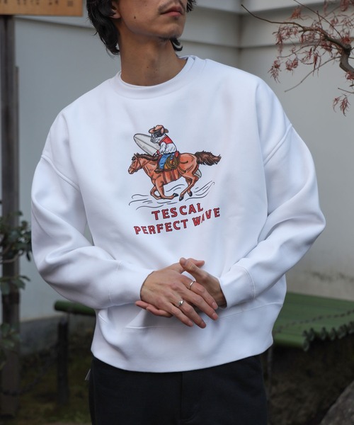 The Endless Summer（エンドレスサマー） トレーナー スウェット 「WEB