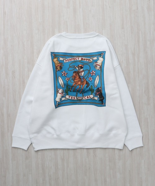 The Endless Summer（エンドレスサマー） トレーナー スウェット 「WEB