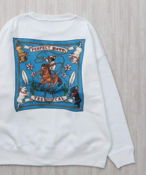 The Endless Summer（エンドレスサマー） トレーナー スウェット 「WEB