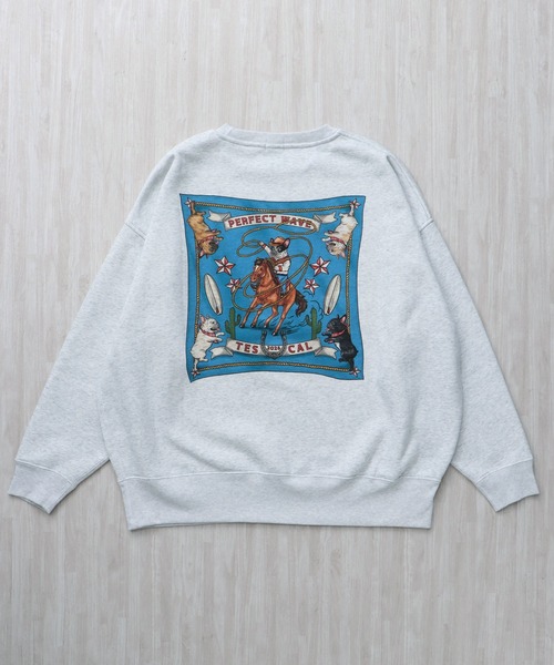 The Endless Summer（エンドレスサマー） トレーナー スウェット 「WEB