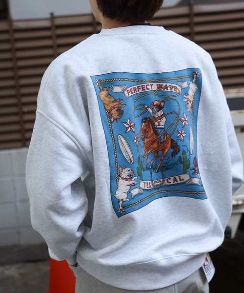 The Endless Summer（エンドレスサマー） トレーナー スウェット 「WEB