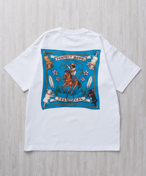 The Endless Summer（エンドレスサマー） tシャツ 「WEB / FLAG SHOP