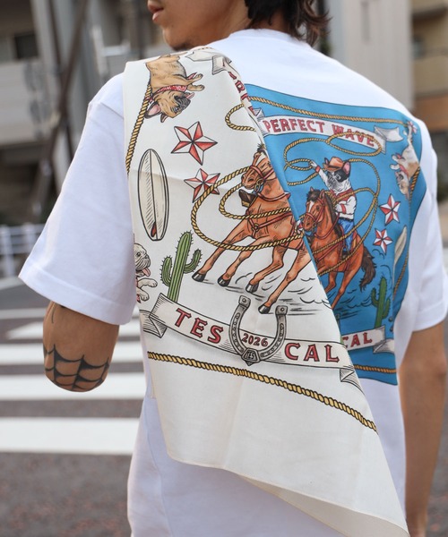 The Endless Summer（エンドレスサマー） tシャツ 「WEB / FLAG SHOP
