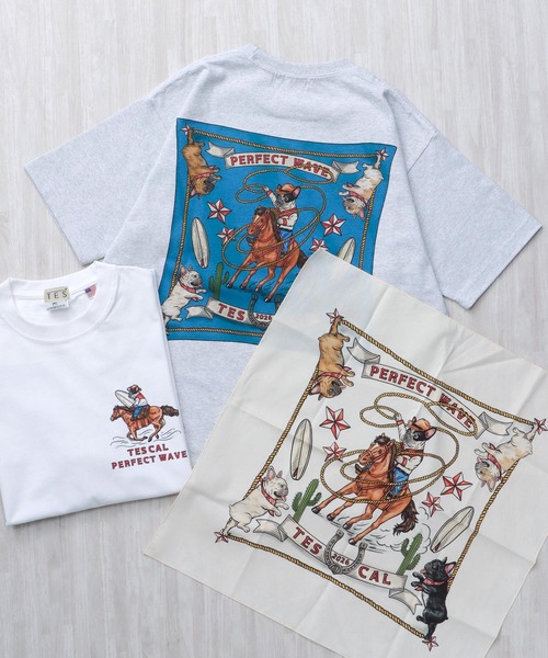 The Endless Summer（エンドレスサマー） tシャツ 「WEB / FLAG SHOP