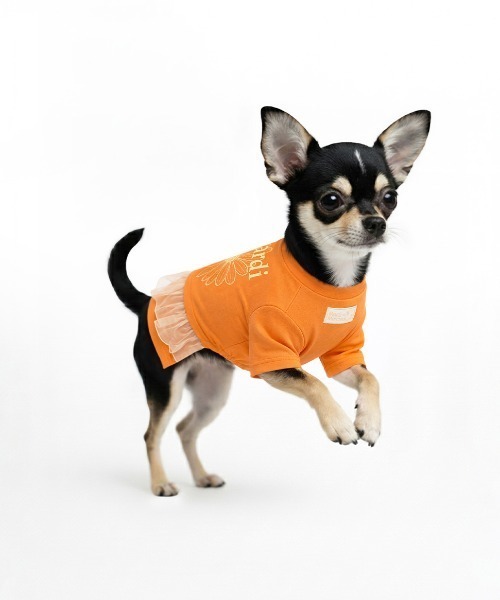 Mardi Mercredi（マルディメクルディ） 犬 服 PET TSHIRT FLOWERMARDI