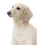 犬 服 PET TSHIRT FLOWERMA...の詳細画像3