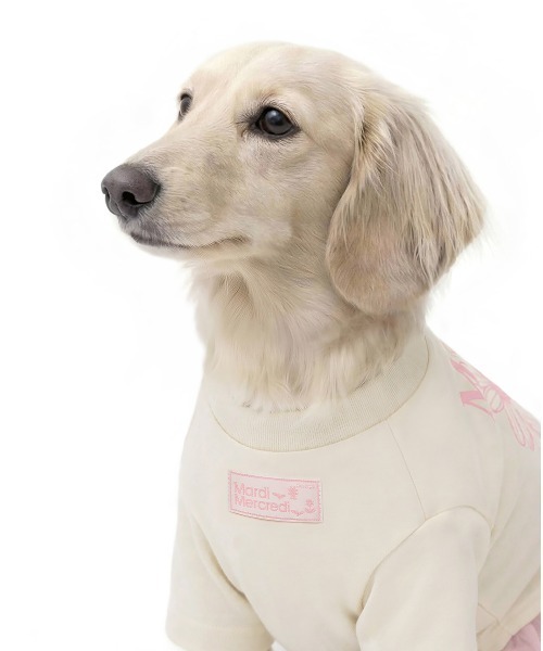 Mardi Mercredi（マルディメクルディ） 犬 服 PET TSHIRT FLOWERMARDI