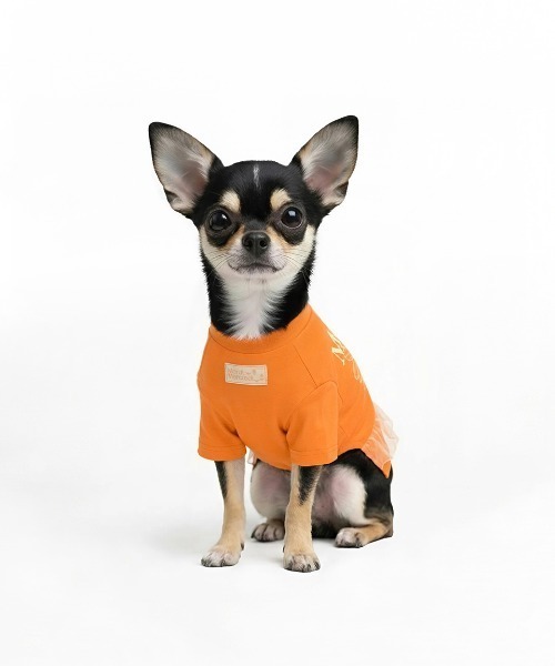 まりめいさん専用　犬服 ４点セット Mardi Mercredi（マルディメクルディ） 犬 服 PET TSHIRT FLOWERMARDI