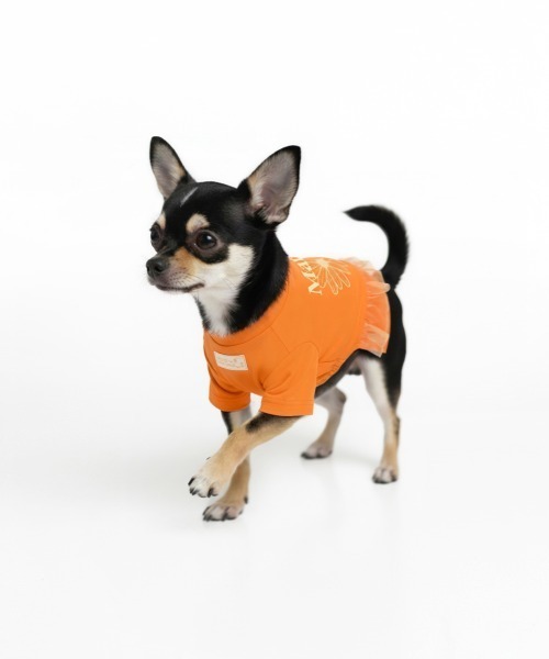 Mardi Mercredi（マルディメクルディ） 犬 服 PET TSHIRT FLOWERMARDI