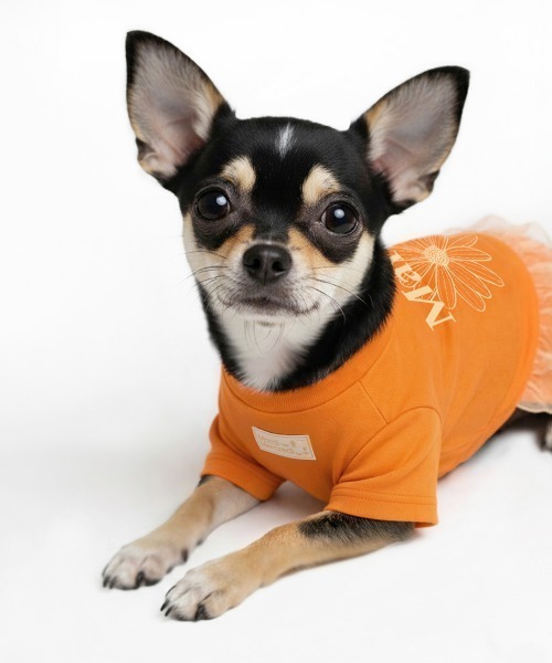 Mardi Mercredi（マルディメクルディ） 犬 服 PET TSHIRT FLOWERMARDI