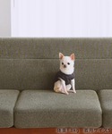 犬 服 「DOG」マウンテンプリントタンクトッ...の詳細画像3
