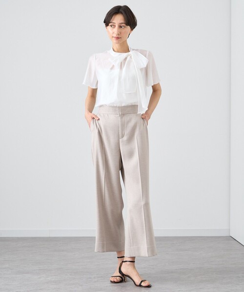 ANAYI アナイ シアーオーガンジーボウタイブラウス 白 Eternal Line 2024】シアーオーガンジーボウタイ