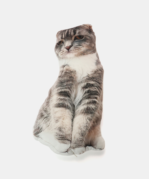 B.C STOCK 「WEB＋一部店舗限定」CAT charge クッション