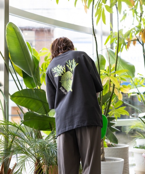 meeny miny tシャツ 「meeny miny」「ボタニカルペインター「Saori