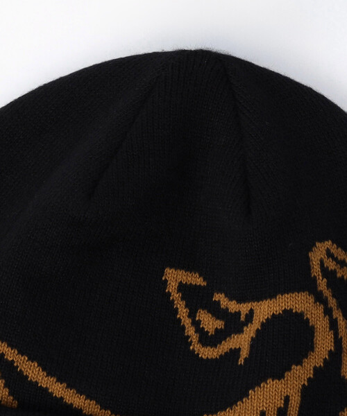 ARC'TERYX（アークテリクス） ニット帽 ニットキャップ メンズ ARC