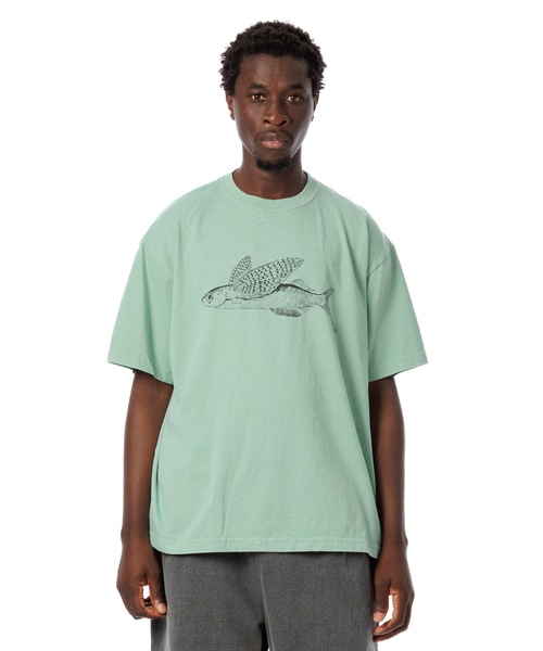 Sandinista（サンディニスタ） tシャツ American Cotton ”Flying Fish