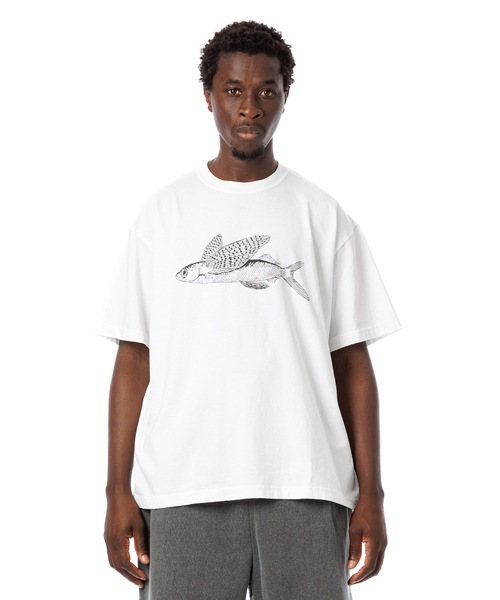Sandinista（サンディニスタ） tシャツ American Cotton ”Flying Fish