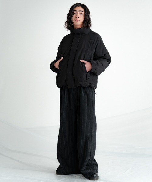SINSS スラックス Flannel two tuck wide striped slacks / フランネル