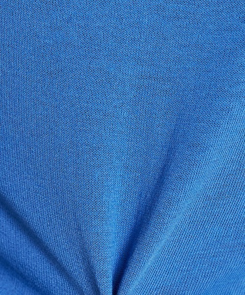 DOUBLE STANDARD CLOTHING リブハイネックショートトップス ESSENTIAL（DOUBLE STANDARD CLOTHING） ニット セーター リブ