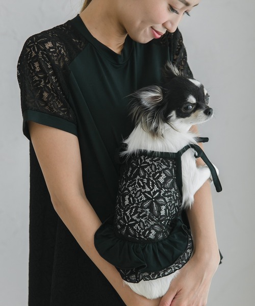 犬 服 コントラストレーストップス（セット） : ZOZOTOWN Yahoo!店