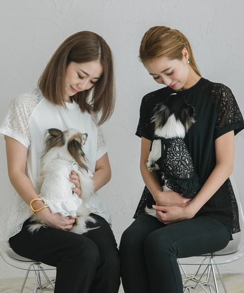 犬 服 コントラストレーストップス（セット） : ZOZOTOWN Yahoo!店