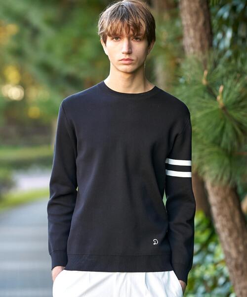DRESSTERIOR ドレステリア クルーネックコットンニット DRESSTERIOR（ドレステリア） ニット セーター カシミヤブレンドクルー